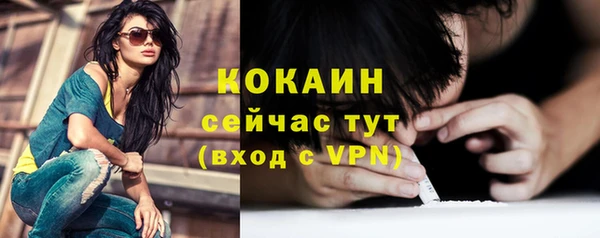 мдпв Кодинск