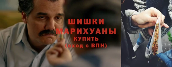 мдпв Кодинск