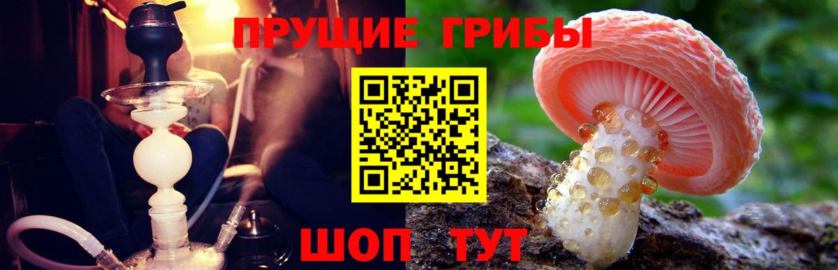 Галлюциногенные грибы мицелий  Вход с VPN  Псилоцибиновые грибы Cubensis  Ялуторовск 