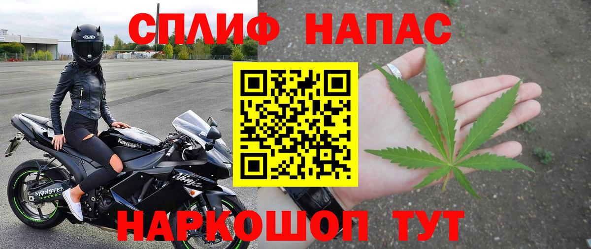 Каннабис план  Ялуторовск  МАРИХУАНА White Widow  Конопля семена  Каннабис конопля 